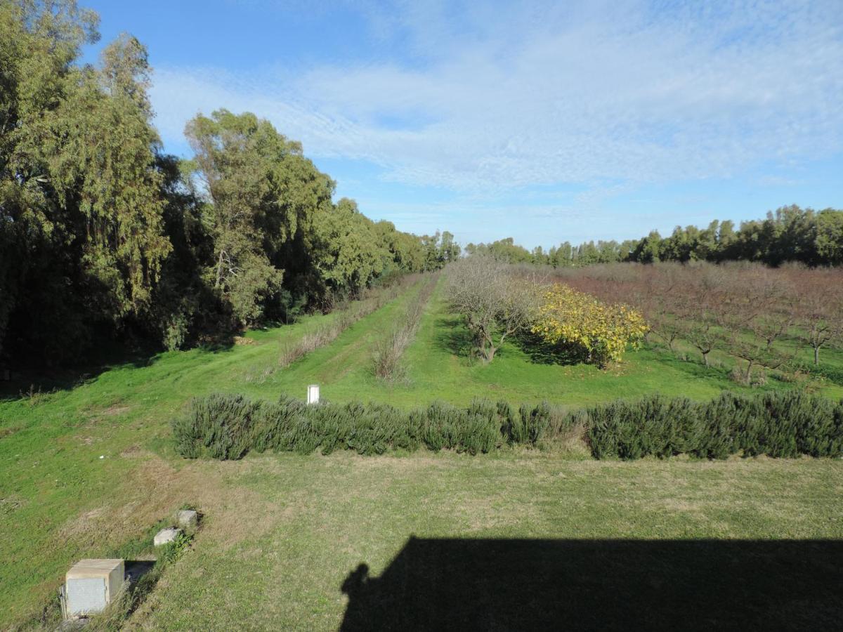 Agriturismo I Doni Del Mandorlo Alghero Bagian luar foto