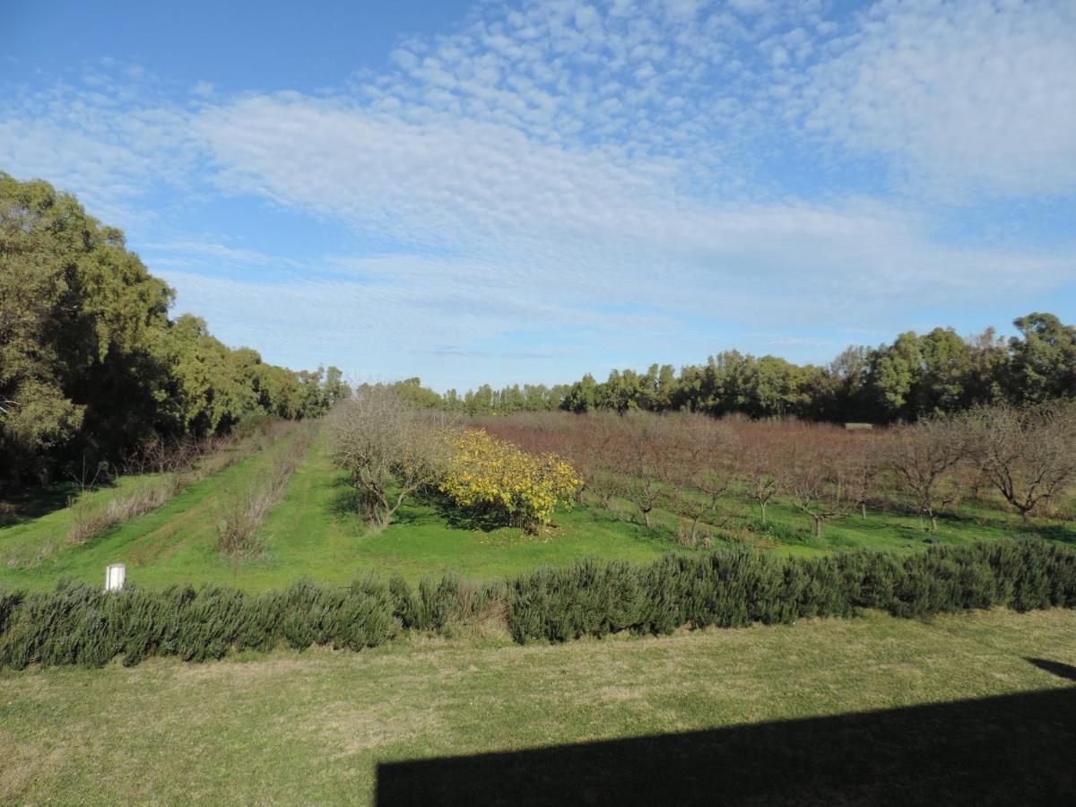 Agriturismo I Doni Del Mandorlo Alghero Bagian luar foto